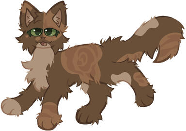 fully lined + detailed