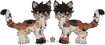basic ref