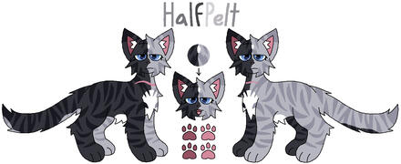 full ref